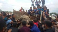 Penampakan Buaya 4 Meter yang Hebohkan Warga Sagulung